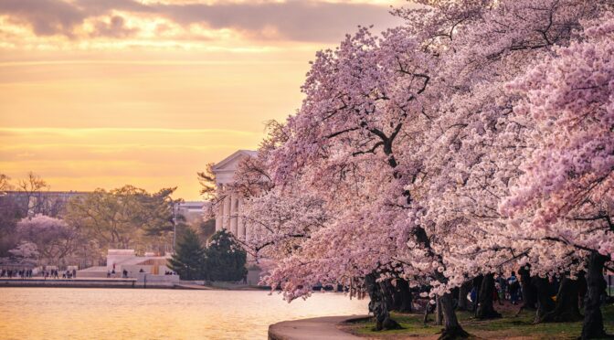 Advocacy Update – April 10, 2026